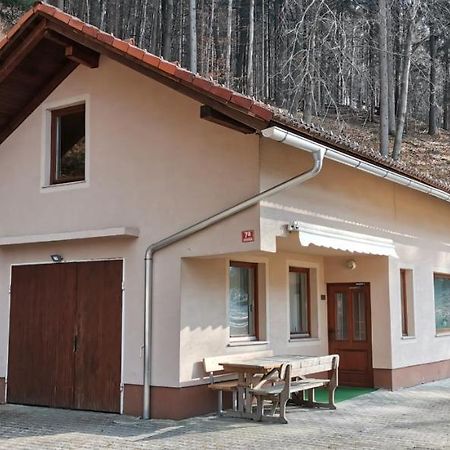 Apartma Regina 슬로벤 그라데츠 외부 사진
