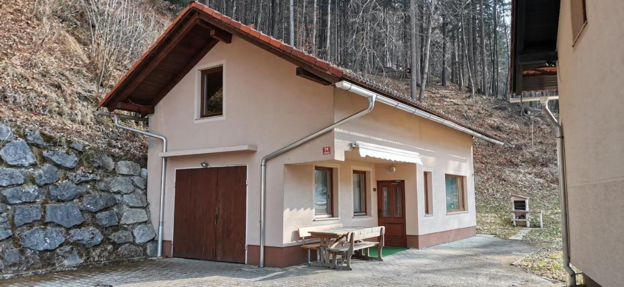 Apartma Regina 슬로벤 그라데츠 외부 사진